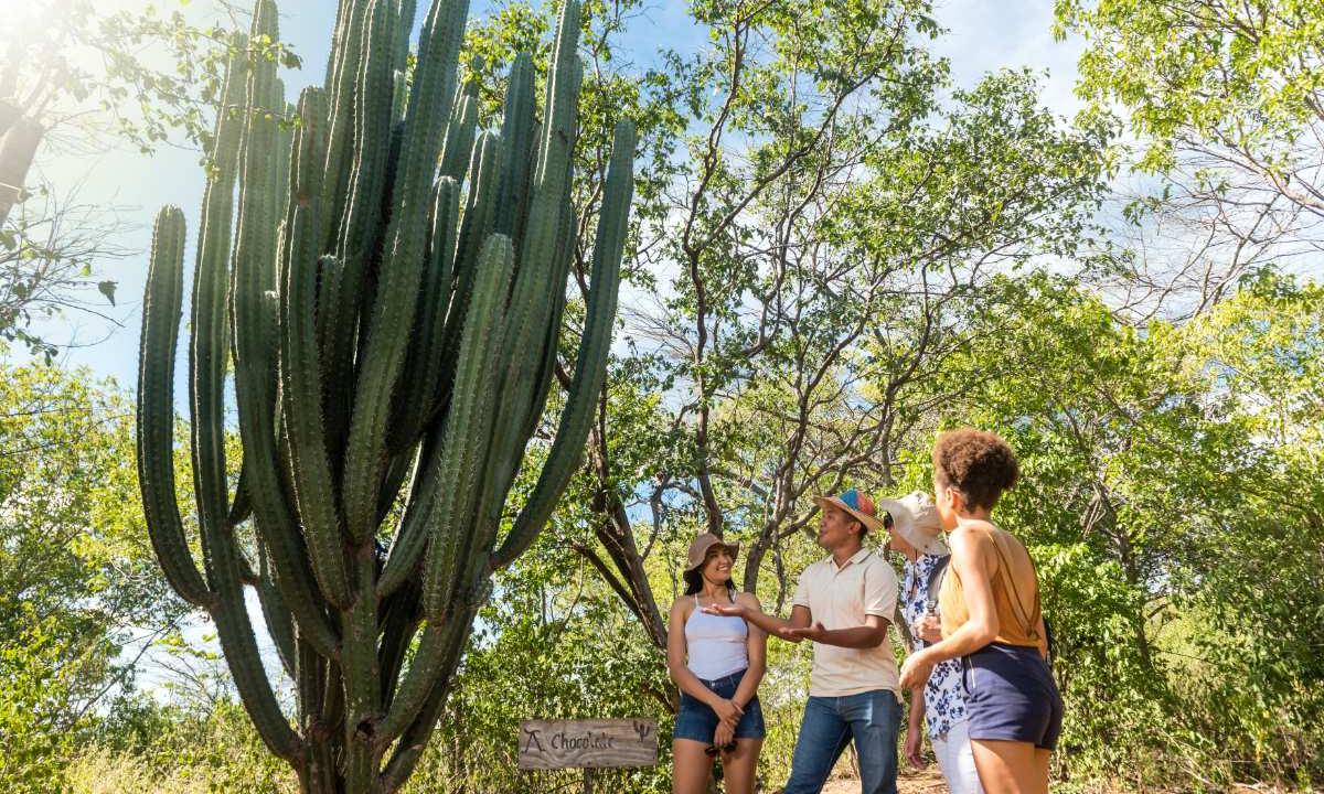 Cultura Wayu Hotel Waya | La Guajira Riohacha Cultura Wayu Hotel Waya | La Guajira Riohacha